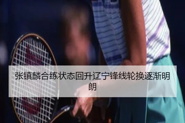 张镇麟合练状态回升辽宁锋线轮换逐渐明朗 - WukongSports